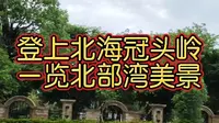 冠头岭国家森林公园位于北海市最西端，主峰望楼岭海拔120米，是北海市区最高点，登上山顶可远眺周边海岸风光。