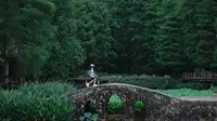 往返仙湖𝟏𝟐次，这条路线请收好！