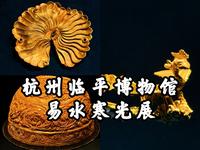 【杭州临平博物馆】易水寒光，千年的璀璨艺术，精美绝伦的金银器，杭州临平博物馆易县大北城出土宋辽金银器展