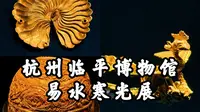 【杭州临平博物馆】易水寒光，千年的璀璨艺术，精美绝伦的金银器，杭州临平博物馆易县大北城出土宋辽金银器展