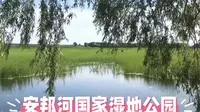 双鸭山市安邦河湿地公园：北国水境的生态桃源