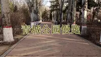 青城公园