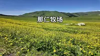白哈巴村~那仁牧场，自驾旅游攻略及注意事项