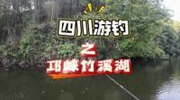 四川游钓之邛崃竹溪湖，爆震鲱鱼搭配重型倒钓 爆震鲱鱼的侧挂玩法，搭配重型倒钓，尾部上下摆动的泳姿更适合这种子线，铅和主线活动连接的钓组