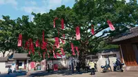 墨池公园正月初四