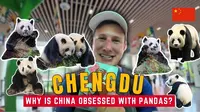 英国博主：为什么中国如此痴迷于熊猫 走进成都大熊猫繁育研究基地🇨🇳 | Wilko Wanders