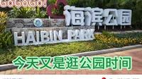 今天我们到珠海的海滨公园逛一下