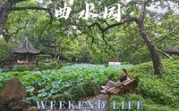 我愿称之为上海园林天花板 | 青浦曲水园