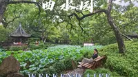 我愿称之为上海园林天花板 | 青浦曲水园
