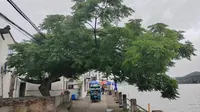 浙江宁波，美丽的东钱湖利民村。