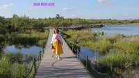 从另外一个视角，看五大连池温泊景区的景色，越往后逛越精彩！