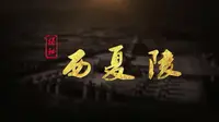 纪录片《揭秘西夏陵》全4集 典藏版