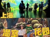 去上海温室花园前🌵能看到这篇攻略就好了‼️