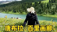 新疆唐布拉百里画廊｜尼勒克小众县道攻略来了！
