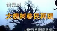 洪洞(tóng)大槐树寻根祭祖园情景剧——《大槐树移民再现》——大槐树寻根祭祖园演出队