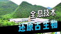 探秘兴义地质博物馆，领略2.4亿年前贵州龙的奥秘，亲子游好去处