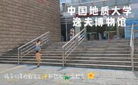中国地质大学逸夫博物馆 孩子们喜欢的宝石和恐龙全都有