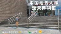 中国地质大学逸夫博物馆 孩子们喜欢的宝石和恐龙全都有