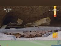 古越时代而来的千百年谜团！我们一起看看央视镜头下的鹰潭龙虎山崖墓群#全球学子嘉游赣诗画江西任你行#@青春江西 #全球学子嘉游赣·奇绝鹰潭逍遥游#