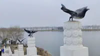 【无业游民四处游荡】昆明池七夕公园，处处都是狗粮，单身狗的天堂