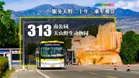 【乘车观景·去天山脚下的野生动物园！服务天野20年？】乌鲁木齐公交POV 313路全程（南公园——天山野生动物园）【附维汉双语报站】