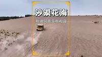 阿克苏沙漠花海：既有沙漠与花海的美景，又能体验越野冲沙的激情