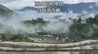 自驾去丽水云和梯田应该怎么玩？分享云和梯田的自驾游攻略！国内最美梯田之一，江浙沪周边自驾游好去处！