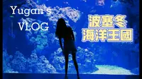 VLOG-哈尔滨波塞冬海洋王国/水世界/游乐园/海洋馆/一起玩水看鱼叭~