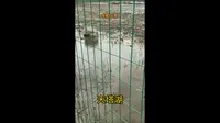 天津天塔湖没有水是什么样子？