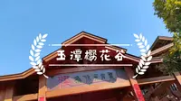 【游玩】福建霞浦玉潭樱花谷