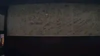青城前山，天师洞