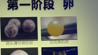 吉林省自然博物馆(1/2)