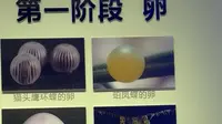 吉林省自然博物馆(1/2)