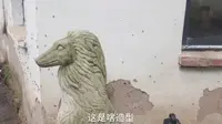 贵州省植物园