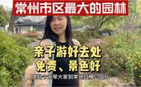 常州市区最大的园林红梅公园，免费不需要门票，景色不输苏州园林