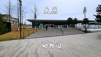 太原动物园，门票10元，走近自然，亲近自然，重温童年快乐