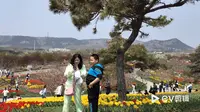 大连英歌石植物园，美极了