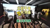 比兵马俑早200余年的楚王车马阵，至今仍鲜为人知