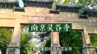南京灵谷寺游玩攻略来啦，想要拍梧桐大道的不要只知道去陵园路，灵谷寺路更美更出片