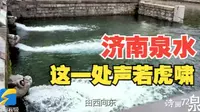 诗画72泉｜黑虎泉