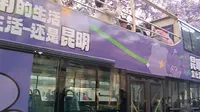 【昆明】教场中路 蓝花楹 观光巴士