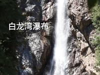 新疆｜南山牧场 西白杨沟景区