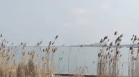 【游玩篇】苏州·阳澄湖半岛度假区