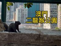 【澳门旅行Vlog】：二龙喉公园的缆车索道、动物园与半山运动场