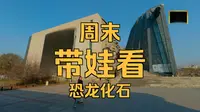孩子想看恐龙，就来辽宁古生物博物馆，有真东西
