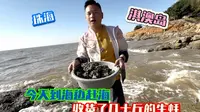 自驾广东在珠海淇澳岛露营，到海边体验赶海满满收获了几十斤生蚝