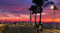 “这里不是加州，这是8月31日清晨的珠海情侣路”