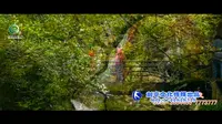 徽州大峡谷景区