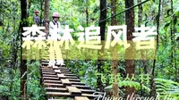 做一日森林追风者普洱太阳河飞越丛林悬空滑索尖叫释放，心跳 自由！#普洱太阳河森林公园#普洱小熊猫庄园