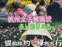 杭州太子湾公园现状，来之前要三思，附上出行攻略